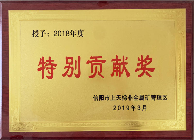 特別貢獻(xiàn)獎